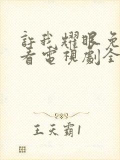 许我耀眼免费观看电视剧全集