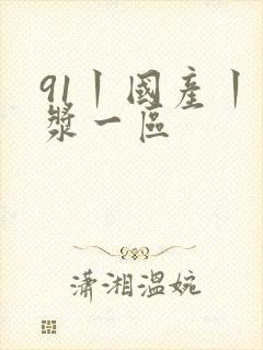 91丨国产丨白浆一区