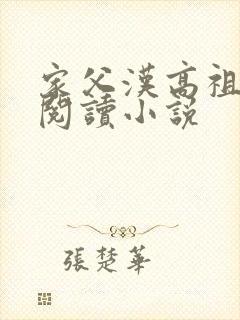 家父汉高祖在线阅读小说