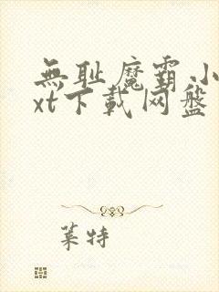 无耻魔霸小说txt下载网盘