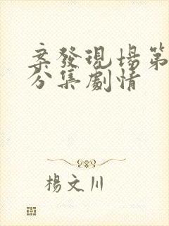 案发现场第二部分集剧情封面