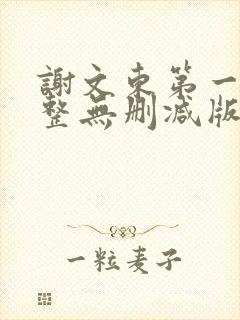谢文东第一季完整无删减版