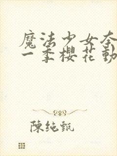 魔法少女奈叶第一季樱花动漫