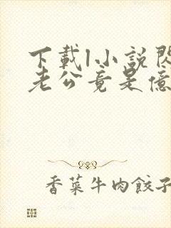 下载l小说闪婚老公竟是亿万总裁全部