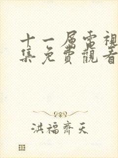 十一层电视剧全集免费观看