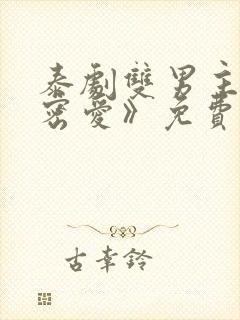 泰剧双男主《秘密爱》免费观看