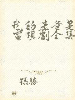 我的老爸是奇葩电视剧全集免费观看