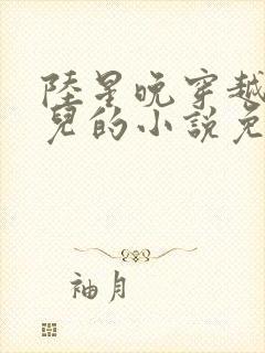 陆星晚穿越成婴儿的小说免费阅读全文封面