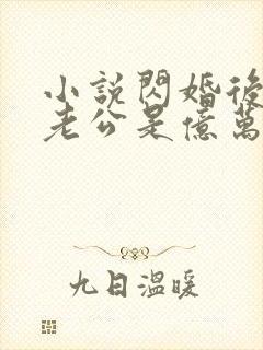 小说闪婚后发现老公是亿万富豪大结局