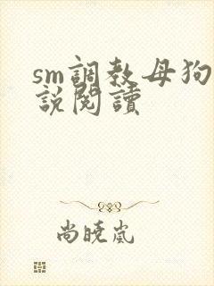 sm调教母狗小说阅读