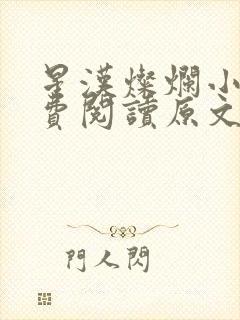 星汉灿烂小说免费阅读原文