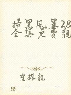 扫黑风暴28集全集免费观看完整版封面