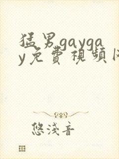 猛男gaygay免费视频网站video