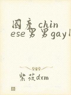 国产 chinese男男gay网站