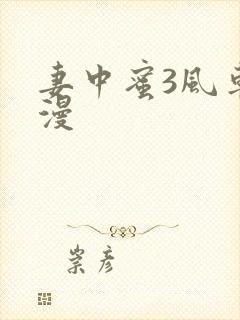 妻中蜜3风车动漫