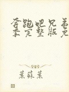 奔跑吧兄弟第九季完整版免费观看封面