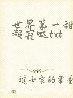 世界第一甜老公超宠哒txt