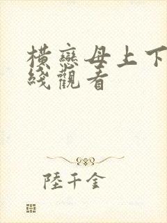 横恋母上下卷在线观看封面