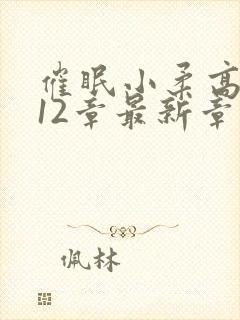 催眠小柔高达第12章最新章节免费阅读