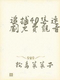 追捕40集连续剧免费观看封面