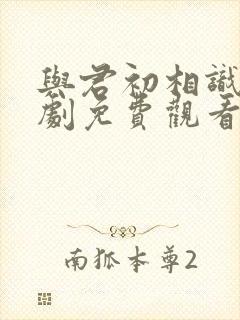 与君初相识电视剧免费观看完整版