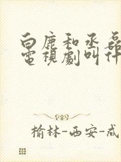 白鹿和丞磊演的电视剧叫什么