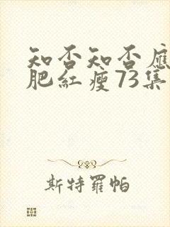 知否知否应是绿肥红瘦73集