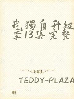 我独自升级第二季13集完整版