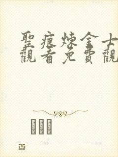 圣痕炼金士在线观看免费观看封面