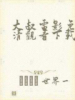 大叔电影免费高清观看下载封面