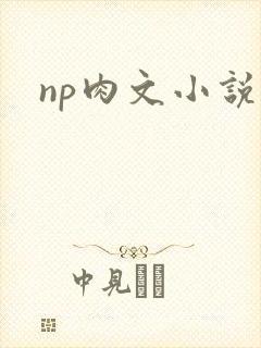 np肉文小说