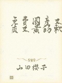 免费国产又色又爽又黄的软件