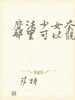 魔法少女奈叶在哪里可以观看