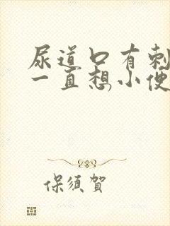 尿道口有刺痛感一直想小便