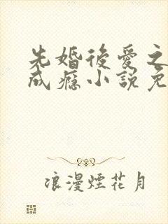 先婚后爱之宠妻成瘾小说免费阅读