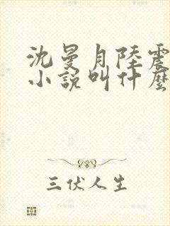 沈曼月陆震霆的小说叫什么