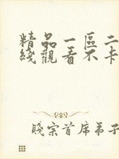精品一区二区在线观看不卡