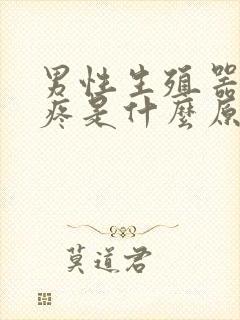 男性生殖器小便疼是什么原因