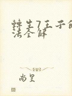 转生7王子的魔法全解