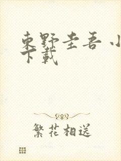 东野圭吾 小说下载