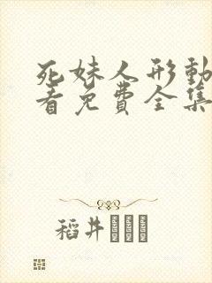 死妹人形动漫观看免费全集完整版封面