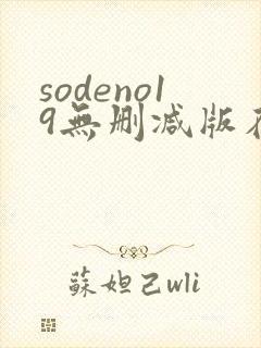 sodeno19无删减版在线播放