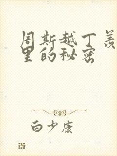 周斯越丁羡暗格里的秘密封面