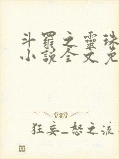 斗罗之灵珠神剑小说全文免费阅读无弹窗