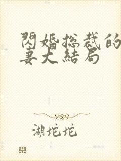 闪婚总裁的契约妻大结局封面