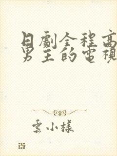 日剧全程高能双男主的电视剧