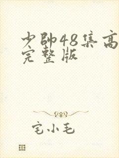 少帅48集高清完整版封面