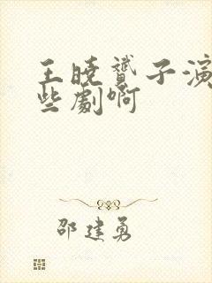 王晓赟子演过哪些剧啊