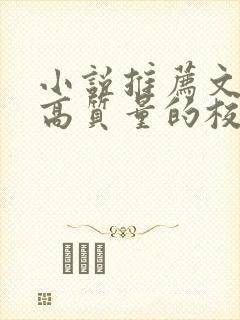 小说推荐文笔好高质量的校园文