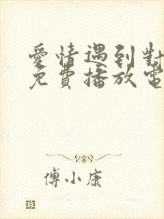 爱情遇到对的人免费播放电视剧封面